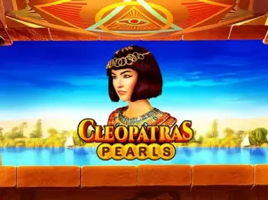 Vicibet Casino screenshot